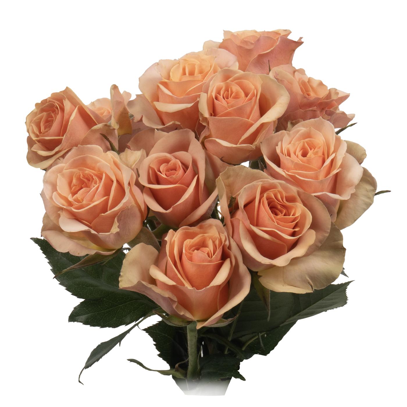 BLOOMS by H-E-B 3 Stems Spray Roses - Assorted Colors; image 4 of 15
