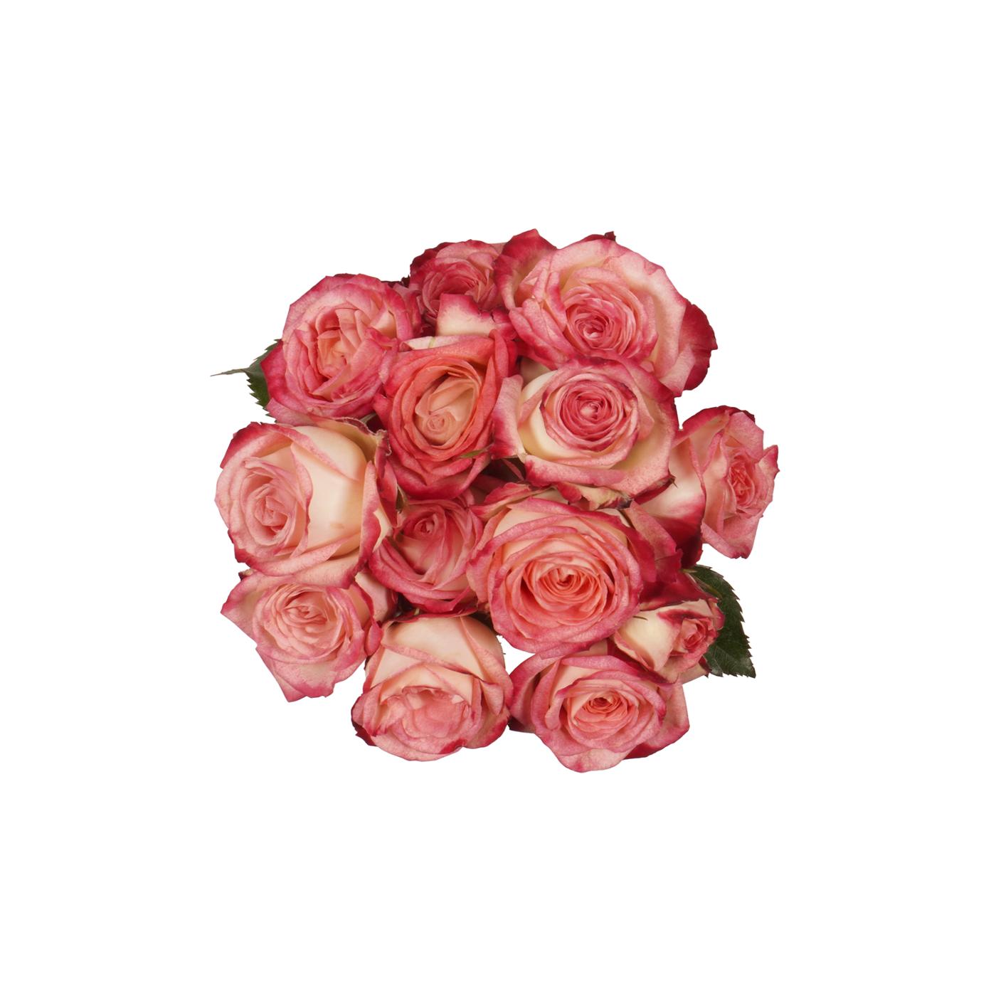 BLOOMS by H-E-B 3 Stems Spray Roses - Assorted Colors; image 5 of 15