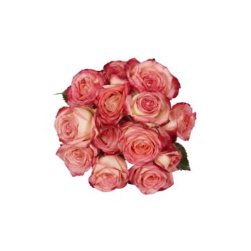 BLOOMS by H-E-B 3 Stems Spray Roses - Assorted Colors