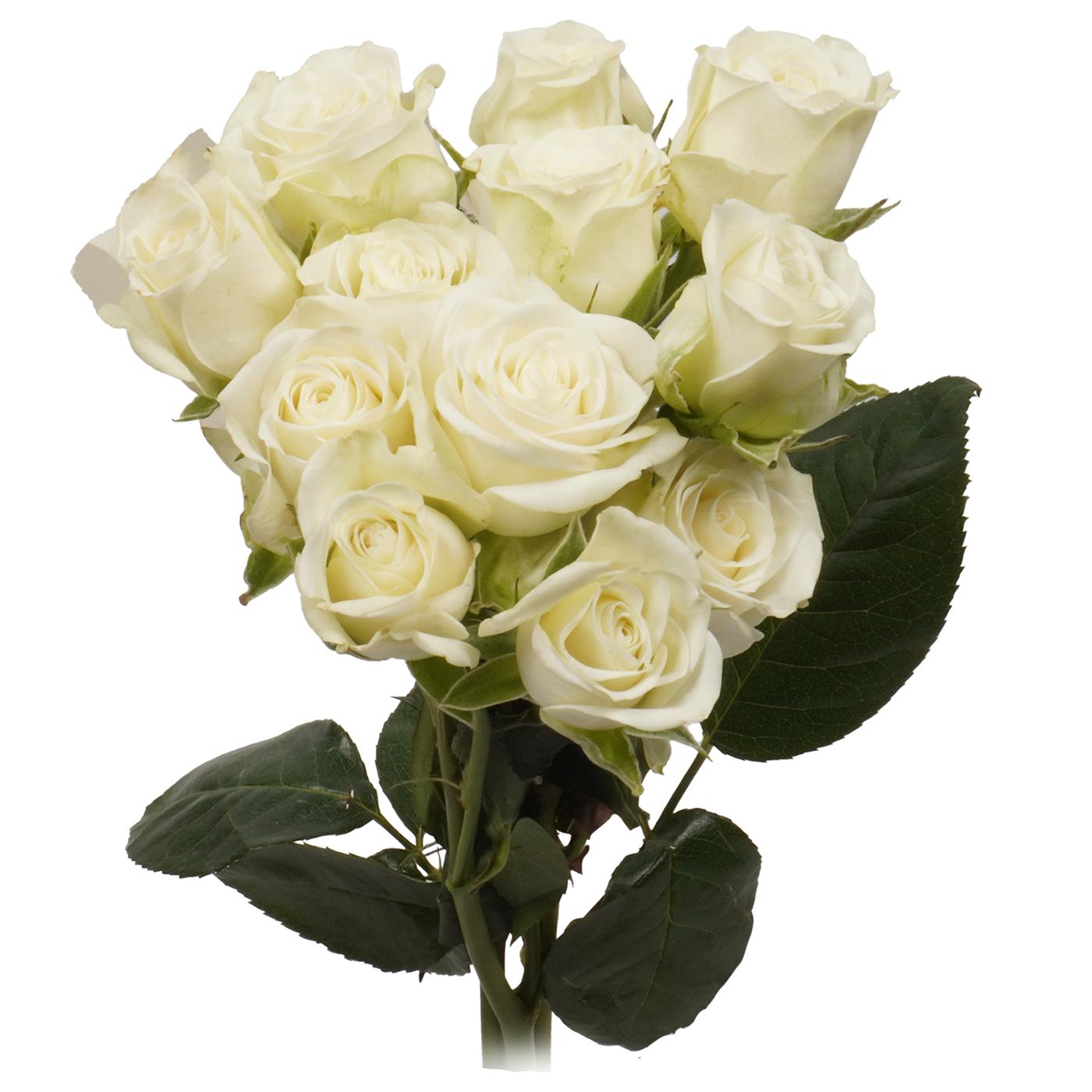 BLOOMS by H-E-B 3 Stems Spray Roses - Assorted Colors; image 6 of 15