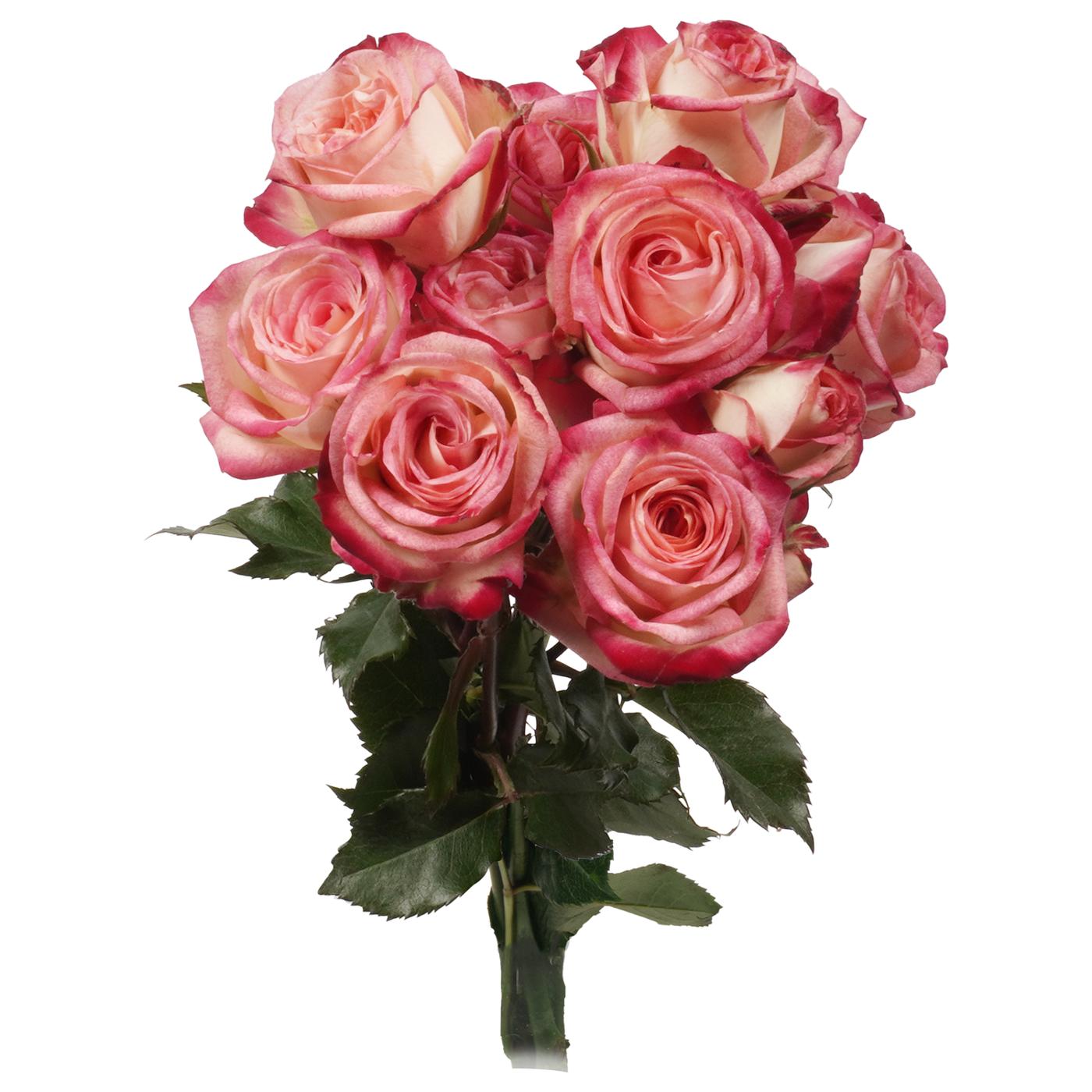 BLOOMS by H-E-B 3 Stems Spray Roses - Assorted Colors; image 7 of 15