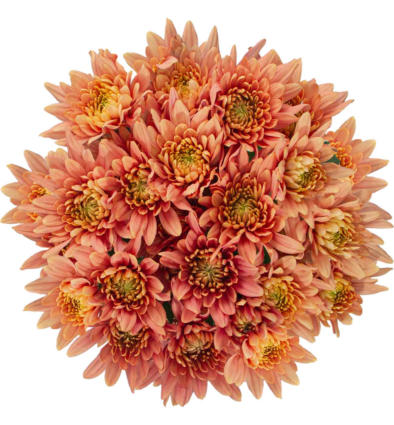 BLOOMS by H-E-B 4 Stem Assorted Poms; image 7 of 10