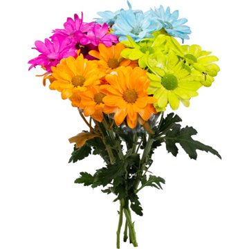 BLOOMS by H-E-B 4 Stem Painted Poms