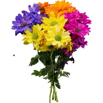 BLOOMS by H-E-B 4 Stem Painted Poms
