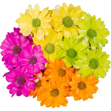 BLOOMS by H-E-B 4 Stem Painted Poms