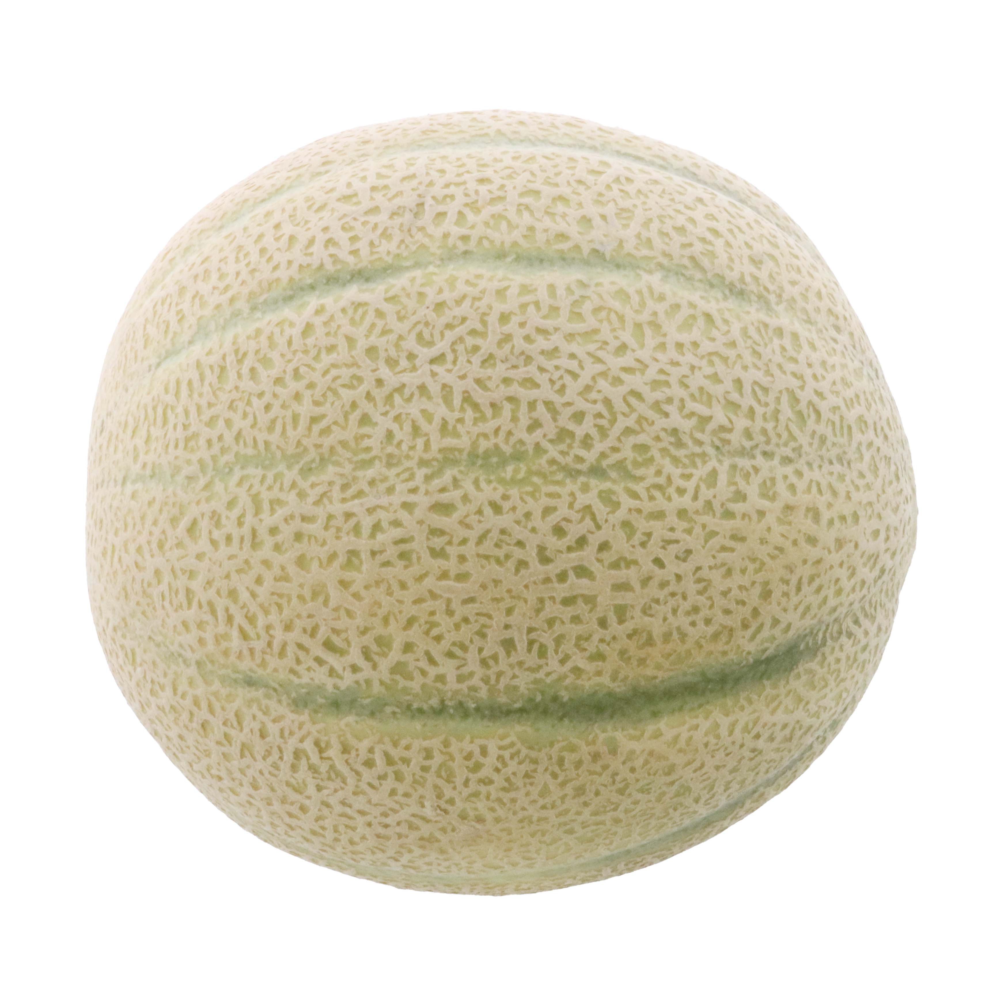 Fresh Tuscan Cantaloupes Shop Melons at HEB