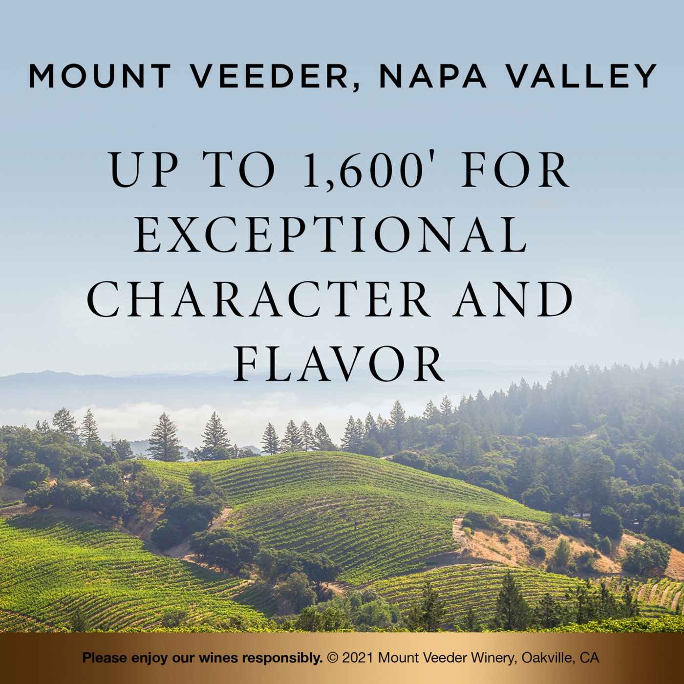 Mount Veeder Reserve Red Wine 750 mL Bottle; image 4 of 7