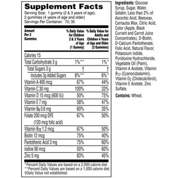 Flintstones Children's Complete Multivitamin Gummies, 70 ct