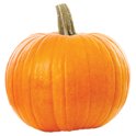 ☆pumpkin pie☆ 0000000031349_3_A1C1_1200.jpg