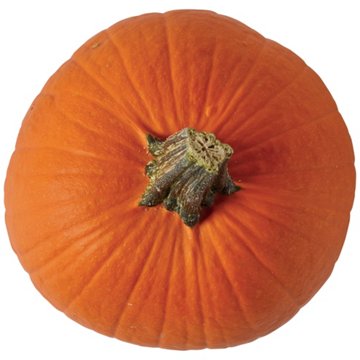 H-E-B Texas Roots Pie Pumpkin