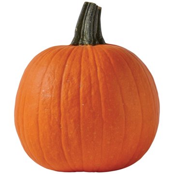 H-E-B Texas Roots Pie Pumpkin
