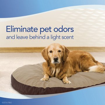 Febreze Fabric Spray Air Freshener - Odor-Fighting Fabric Refresher - Pet Odor Fighter, 23.6 oz