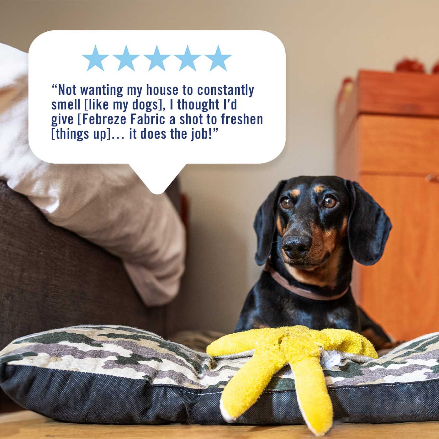 Febreze Fabric Spray Air Freshener - Odor-Fighting Fabric Refresher - Pet Odor Fighter; image 6 of 15