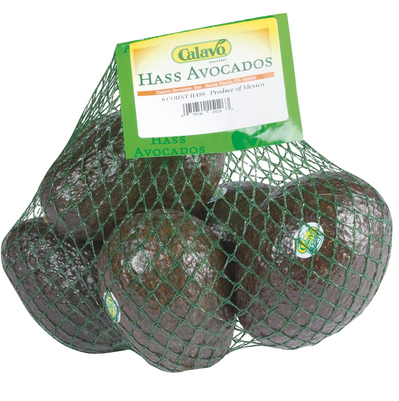 Open Mesh Bag with Fresh Hass Avocados Isolated on White Stock