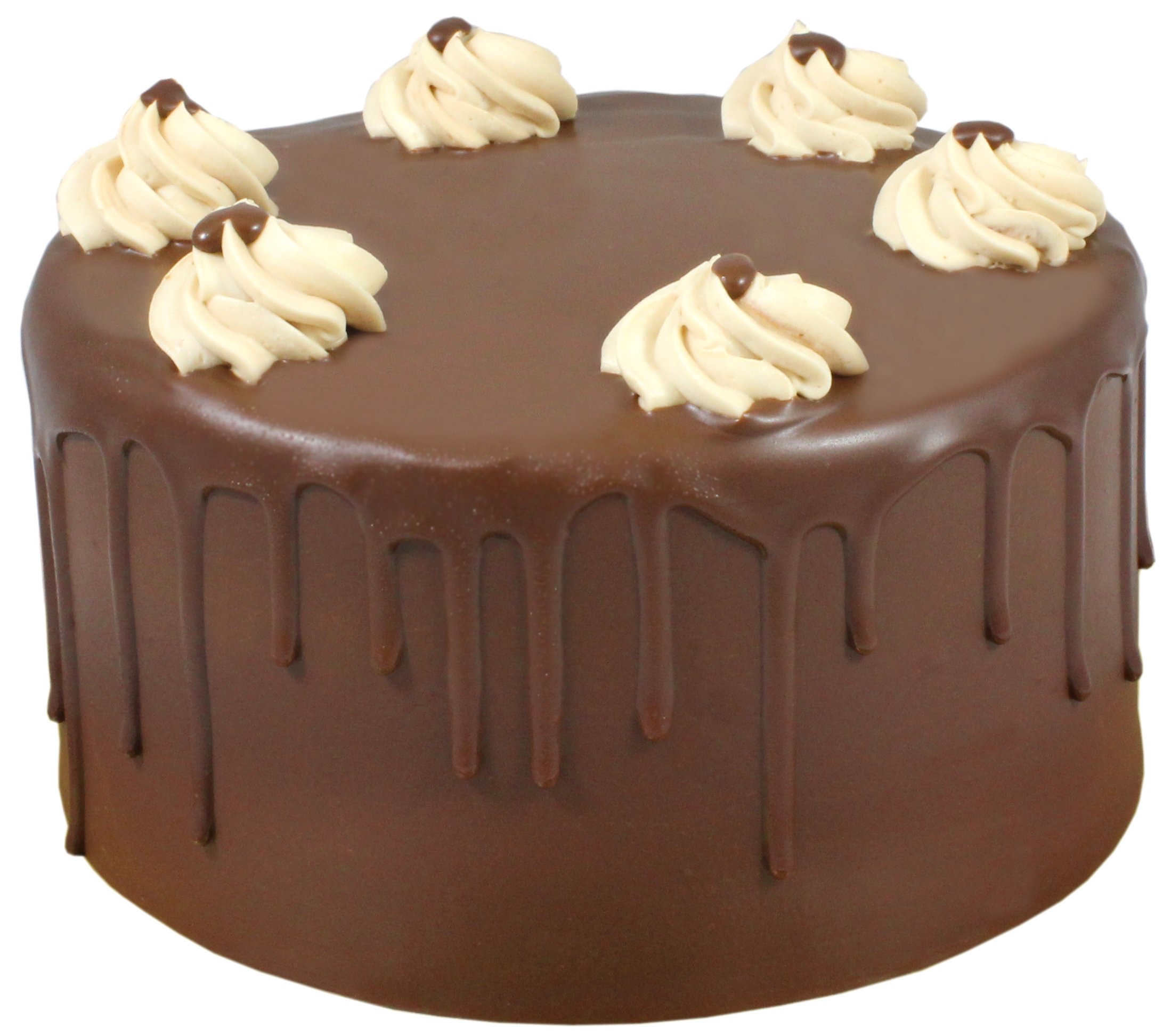 Central Market Chocolate Ganache Cake Shop Cakes at HEB