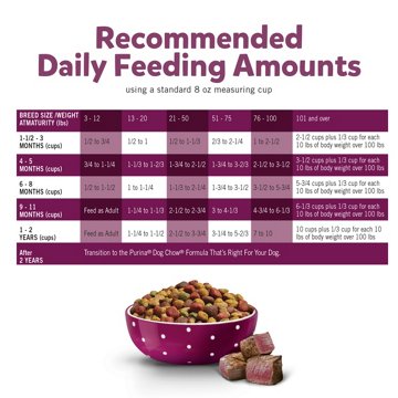 Puppy Chow Purina High Protein Dry Puppy Food - Tender & Crunchy With Real Beef