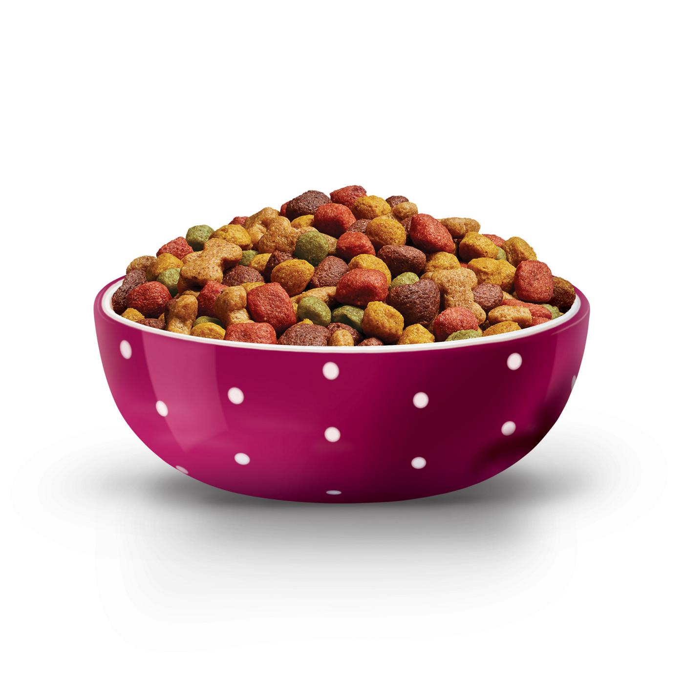 Puppy Chow Purina High Protein Dry Puppy Food - Tender & Crunchy With Real Beef; image 7 of 15