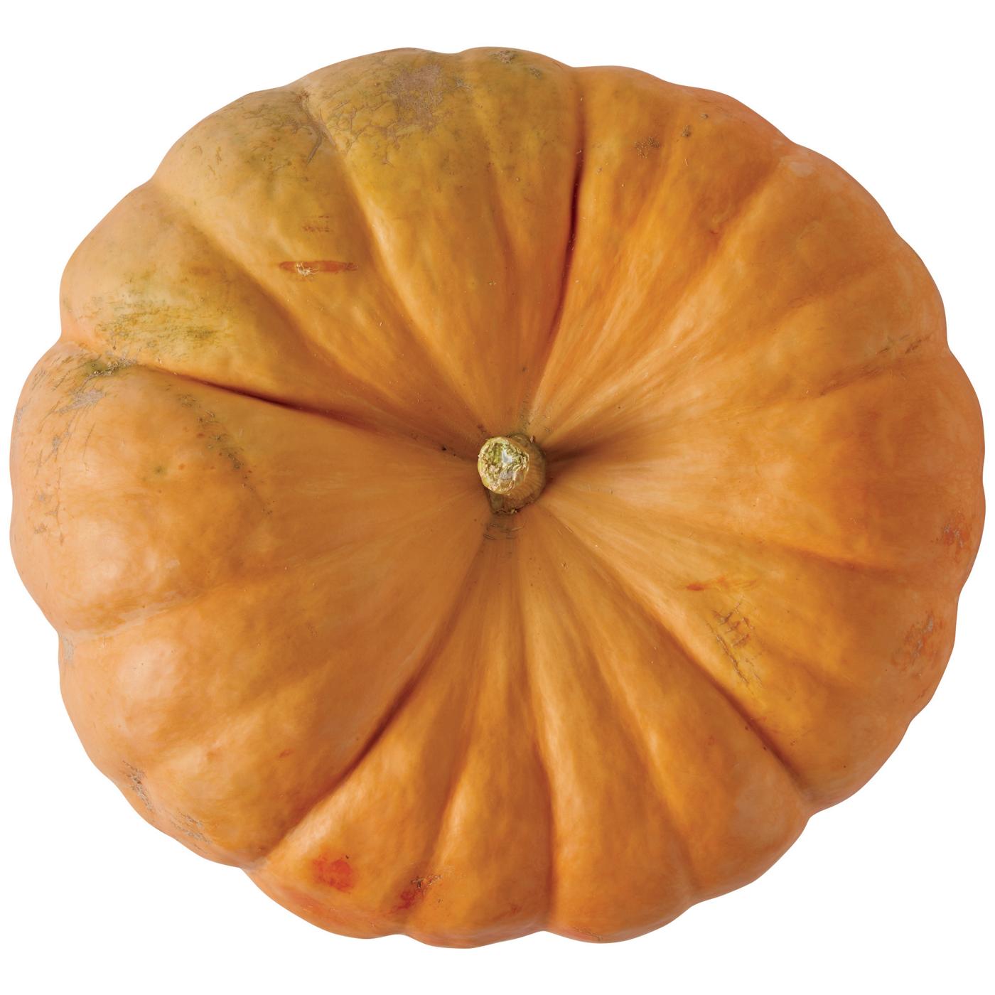 H-E-B Texas Roots Fairytale Pumpkin - Large; image 2 of 2