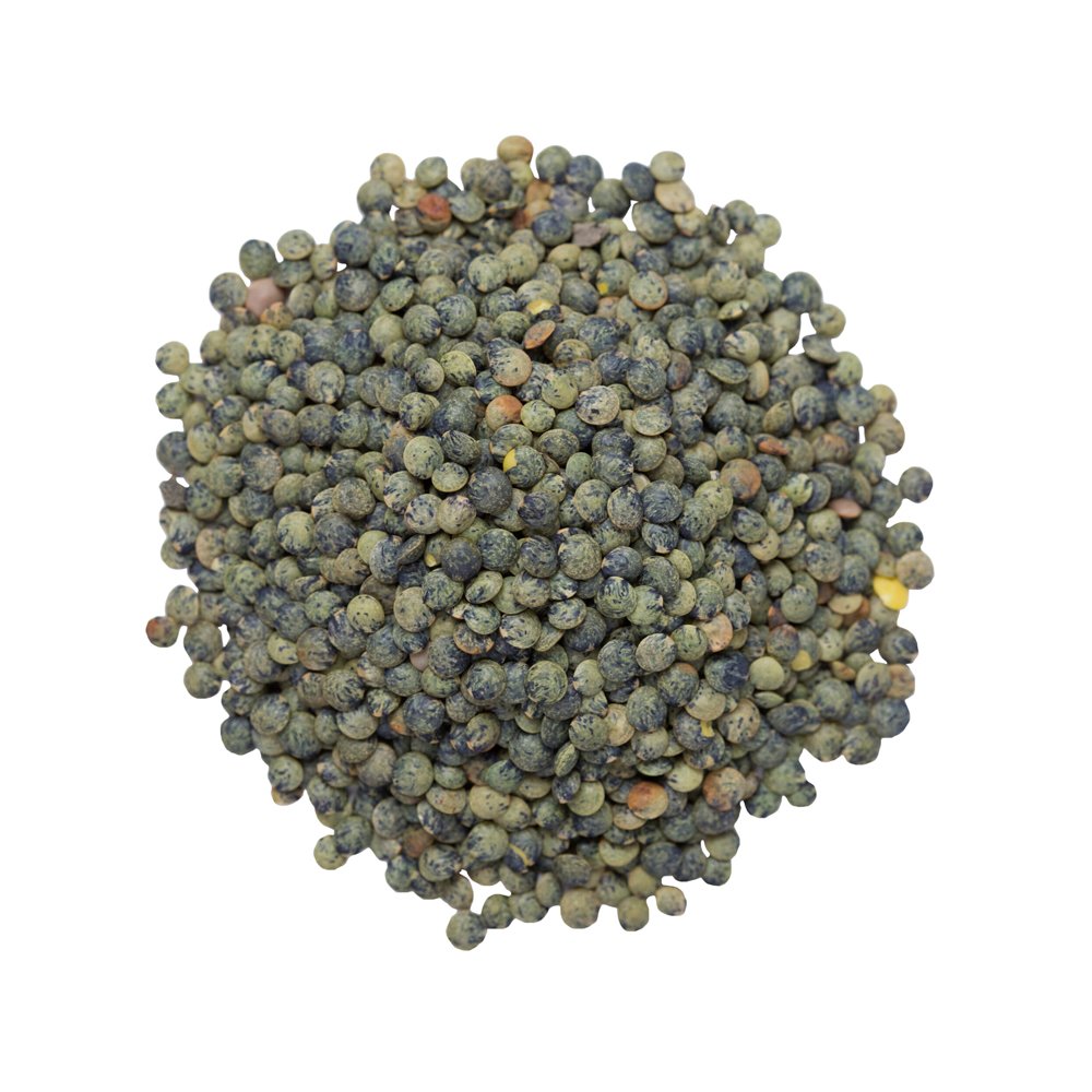 Bulk Organic French Green Lentils Shop Canned & Dried Food at HEB
