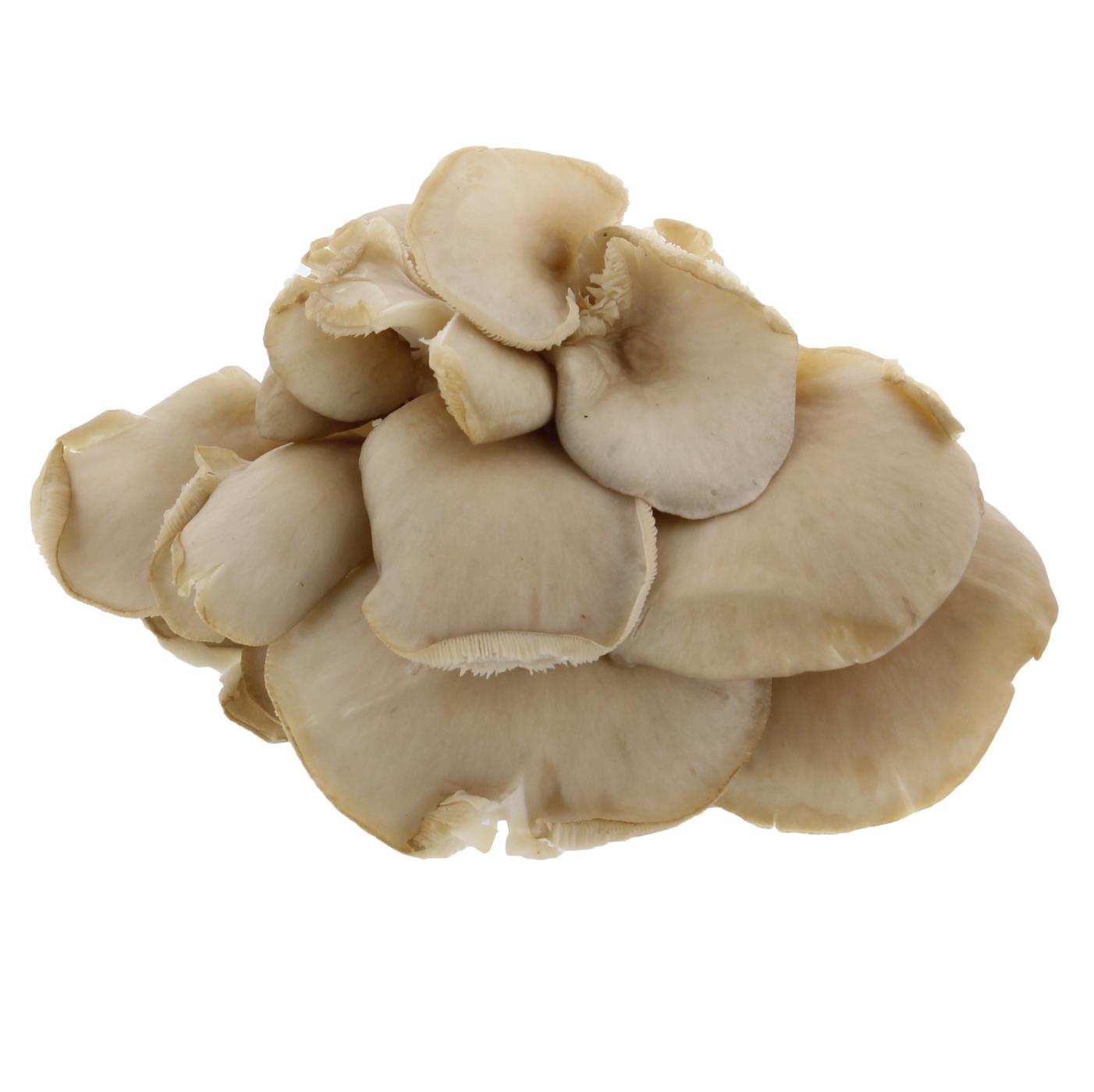 Fresh Oyster Mushroom; image 1 of 2