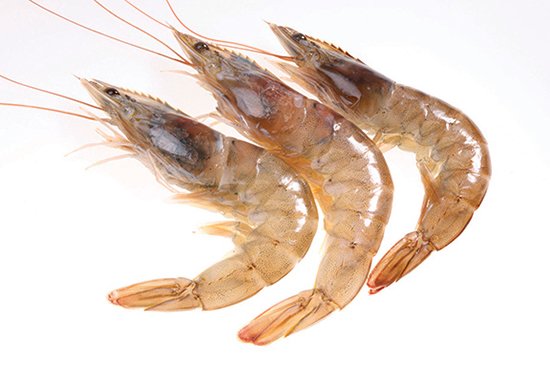 H-E-B Wild Caught Gulf White Shrimp - Shop Shrimp & Shellfish At H-E-B