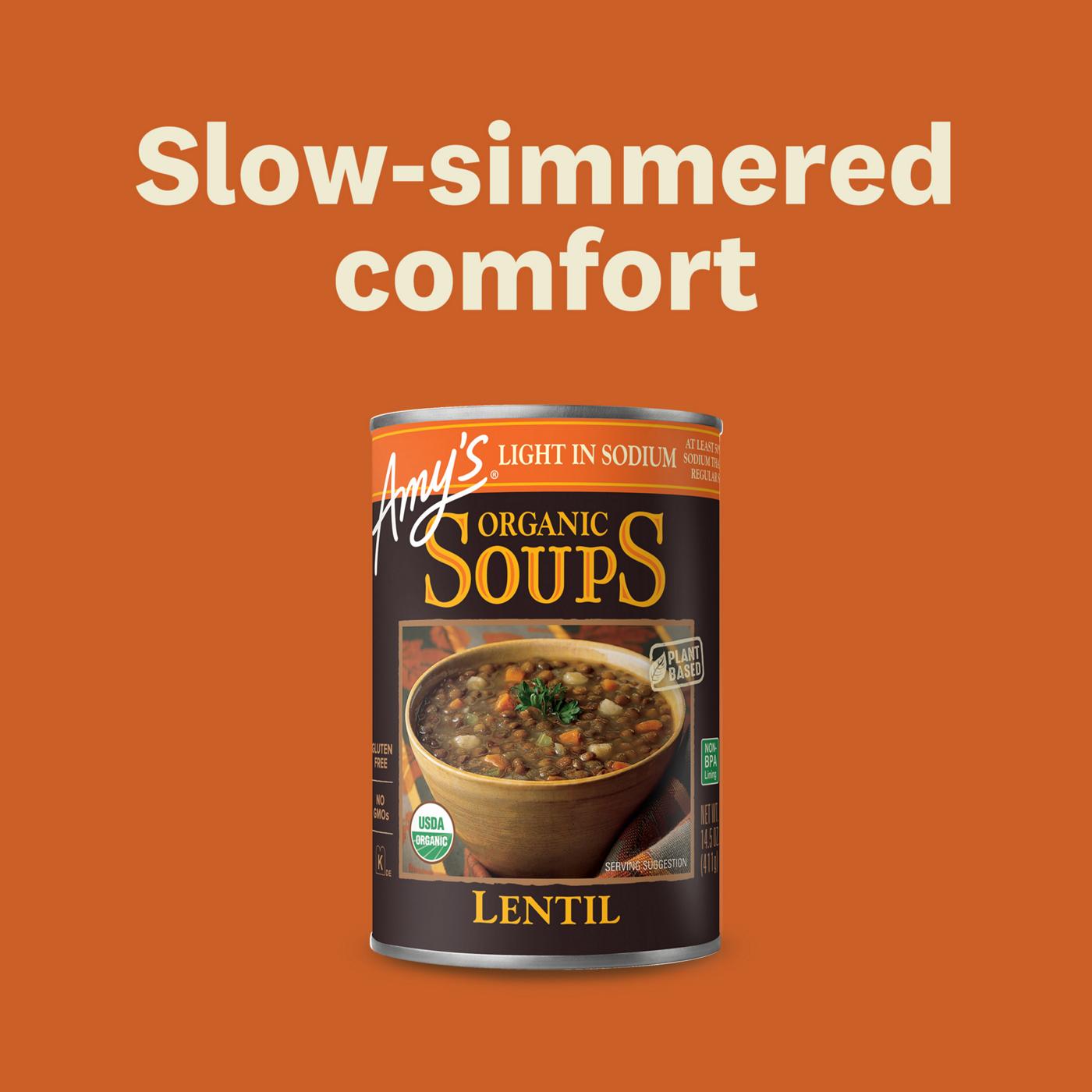 Amy's Organic Light in Sodium Lentil Soup; image 3 of 12