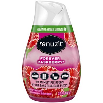 Renuzit Forever Raspberry Gel Air Freshener, 7 oz
