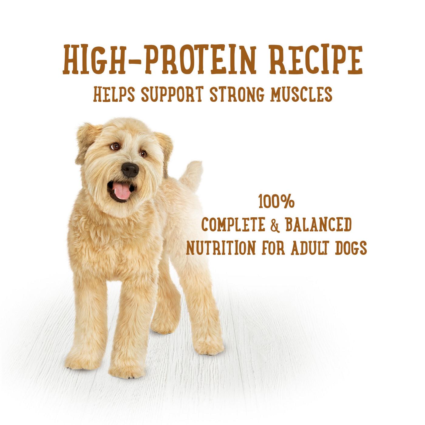 Beneful Purina Beneful High Protein Wet Dog Food With Gravy, Prepared Meals Savory Rice & Lamb Stew; image 4 of 8
