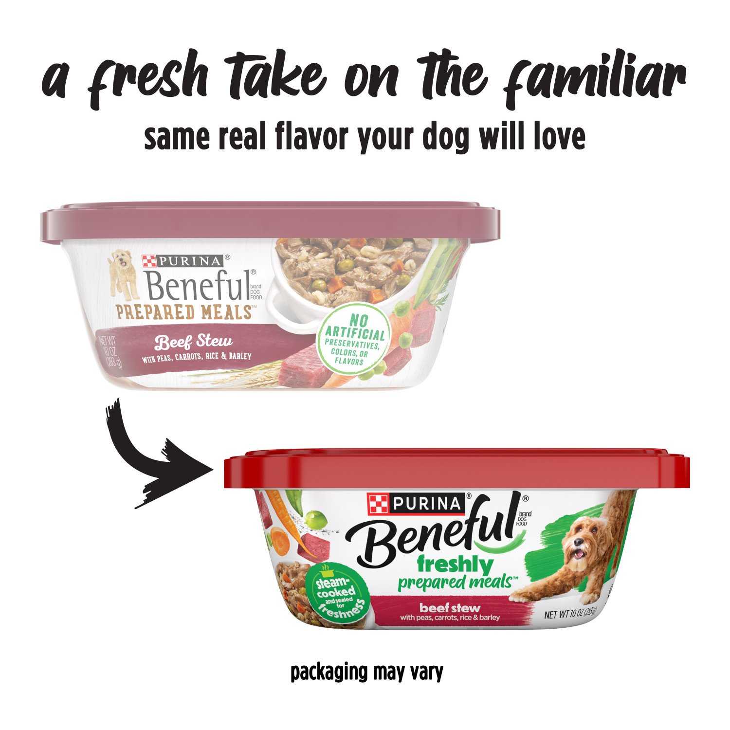natural balance dog food duck and potato Natural Balance Delectable Delights Duckenitas Grain Free Duck and Chi main image 1
