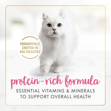 Fancy Feast Purina Grilled Wet Cat Food - Salmon and Shrimp Feast in Gravy