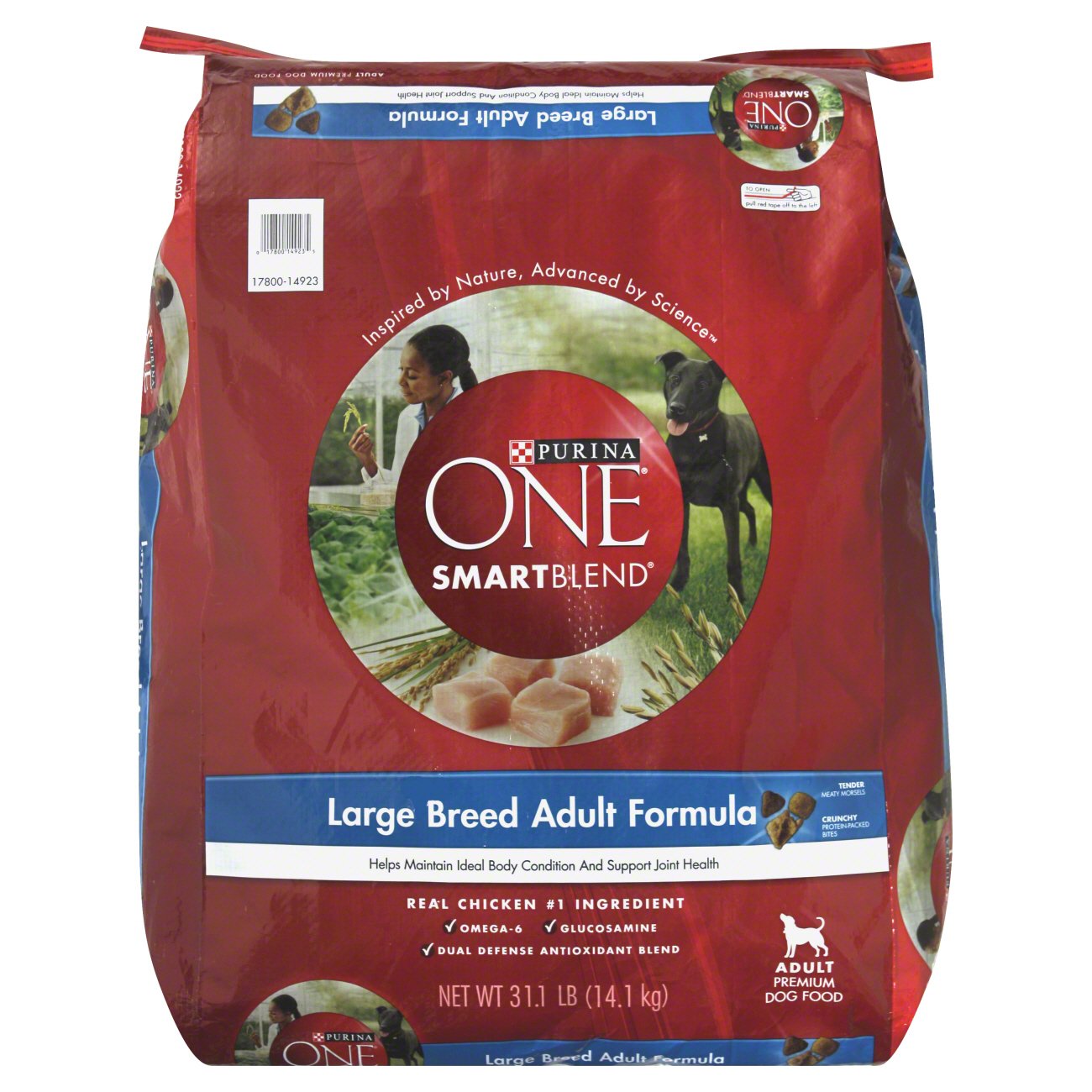 purina one large breed puppy