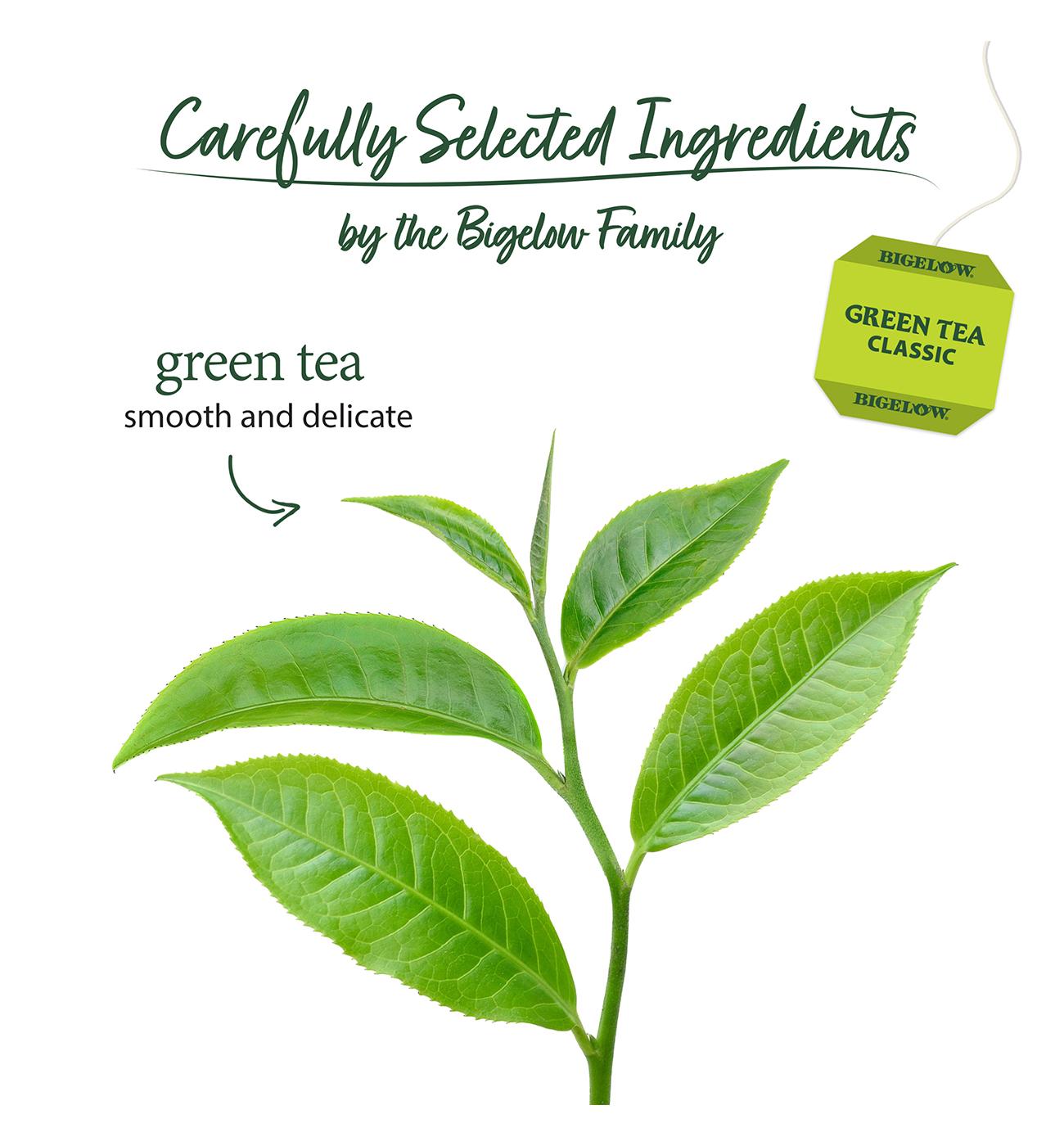 Bigelow Green Tea Bags Value Pack; image 6 of 7