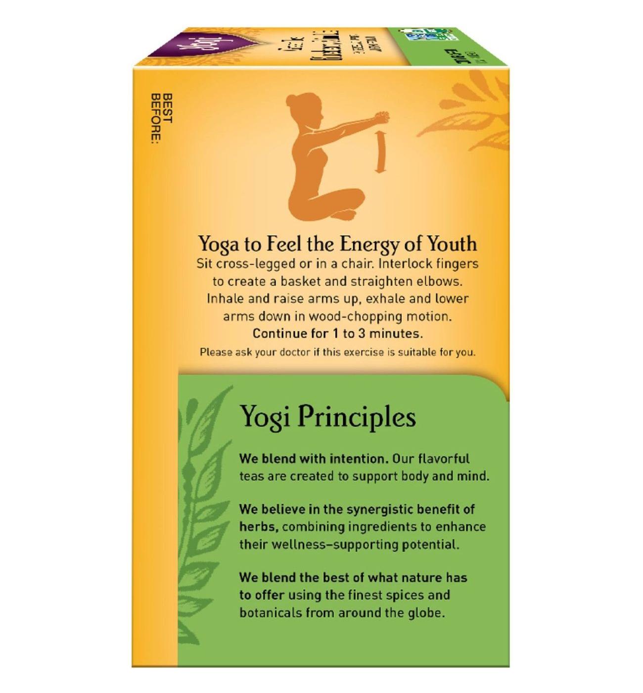 Yogi Green Tea Blueberry Slim Life; image 3 of 5