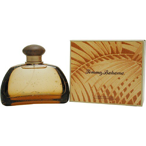 tommy bahama air freshener