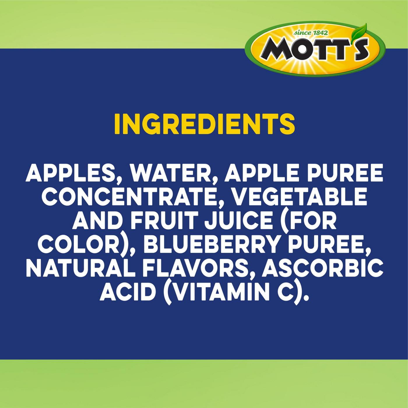 Mott's No Sugar Added Granny Smith Apple Sauce - Shop Apples at H-E-B