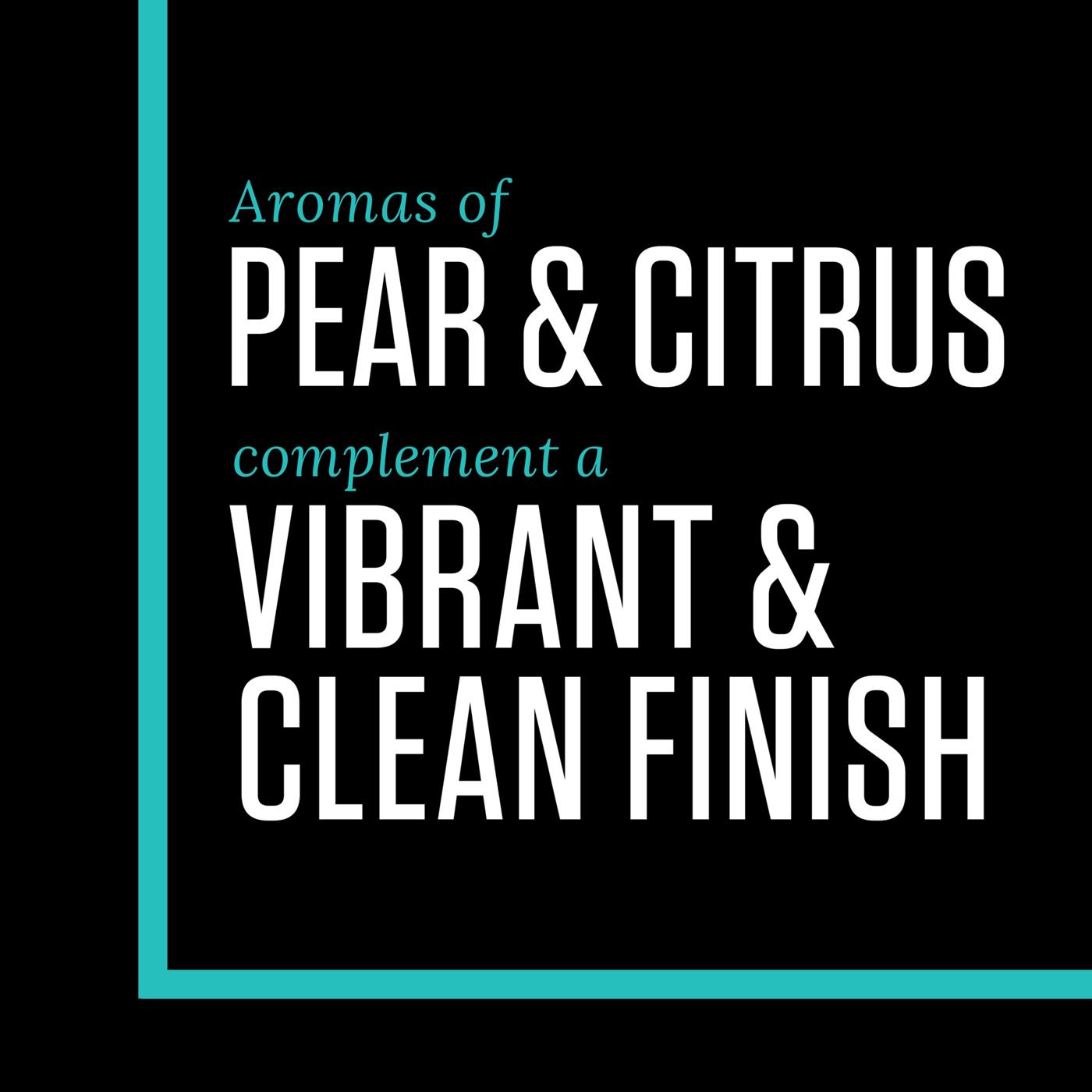 Black Box Pinot Grigio Calfornia Box White Wine; image 4 of 6