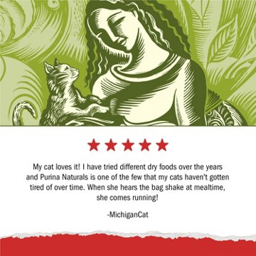 Cat Chow Purina Naturals With Added Vitamins Minerals and Nutrients Dry Cat Food - Naturals Original