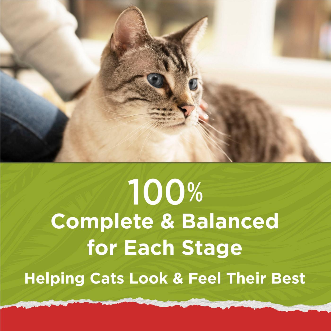Cat Chow Purina Naturals With Added Vitamins Minerals and Nutrients Dry Cat Food - Naturals Original; image 6 of 8