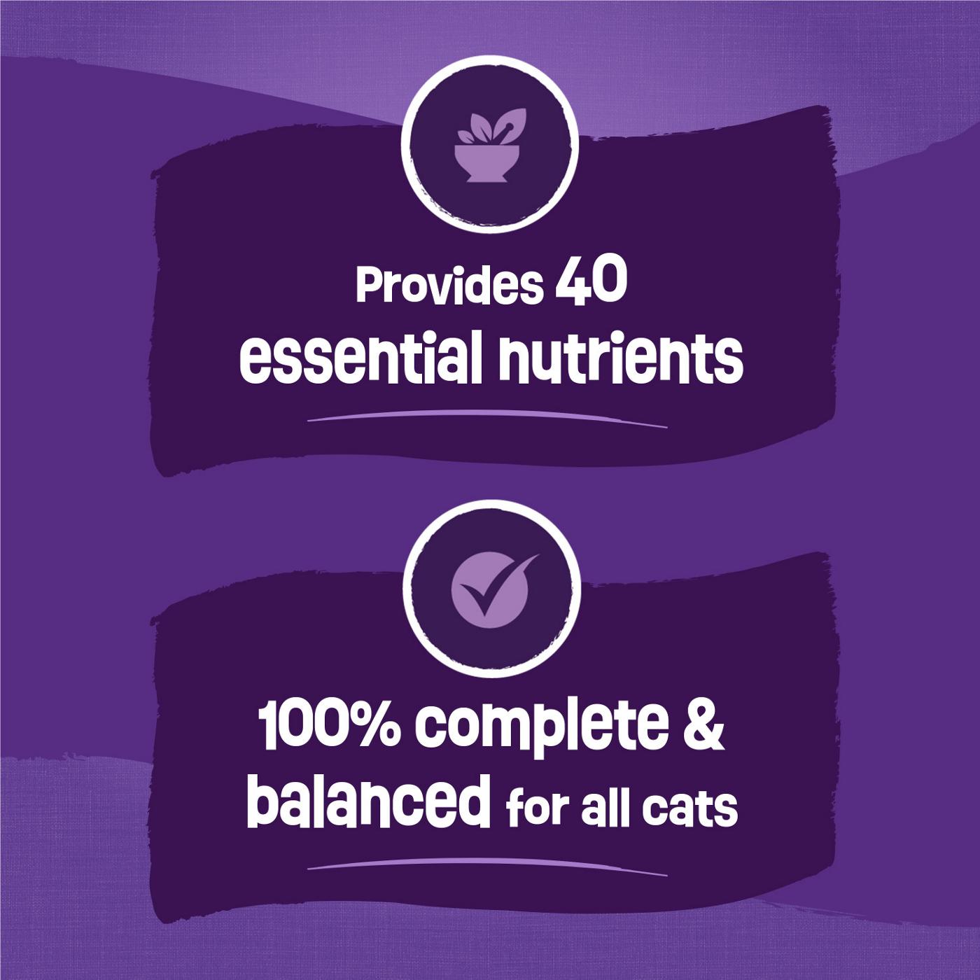 Friskies Purina Cat Food Surfin and Turfin Favorites - Flavors of Chicken, Whitefish, Salmon and Filet Mignon; image 3 of 12