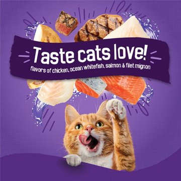Friskies Purina Cat Food Surfin and Turfin Favorites - Flavors of Chicken, Whitefish, Salmon and Filet Mignon, 16 lb