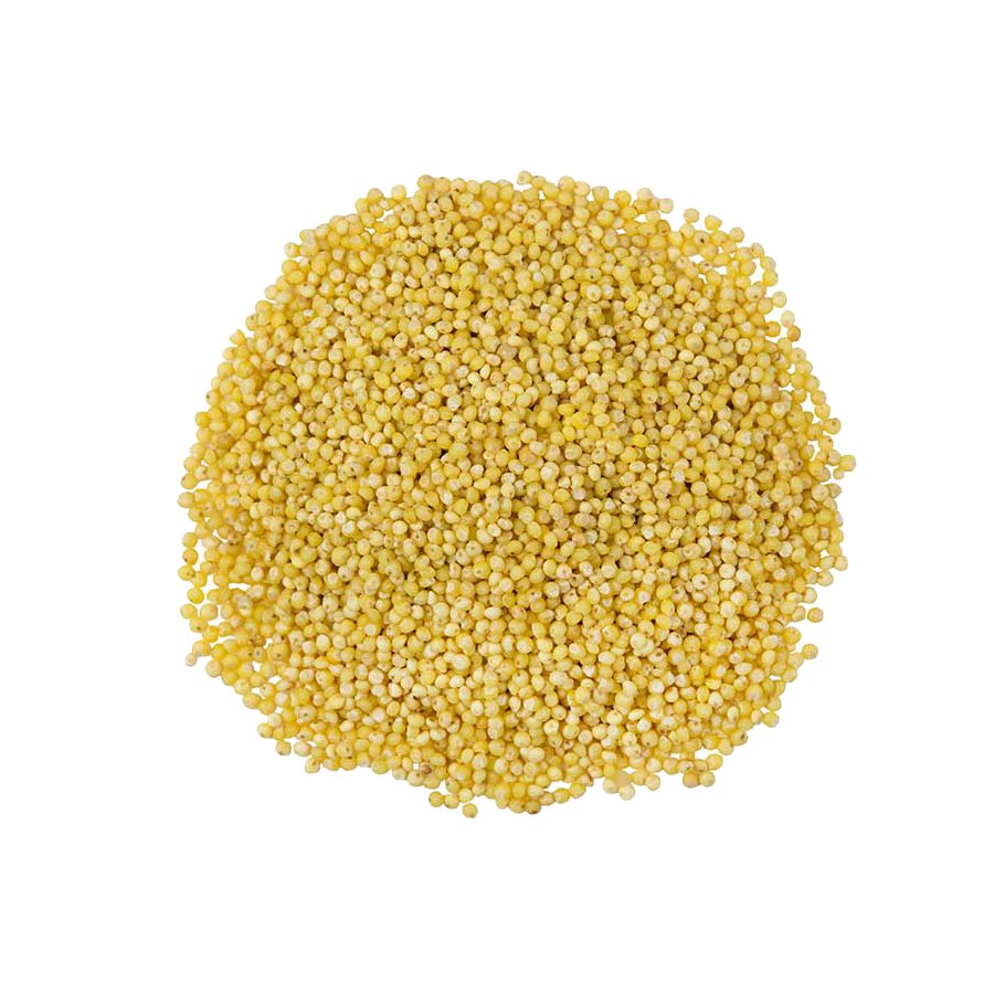 SunRidge Farms Organic Millet - Shop Rice & grains at H-E-B
