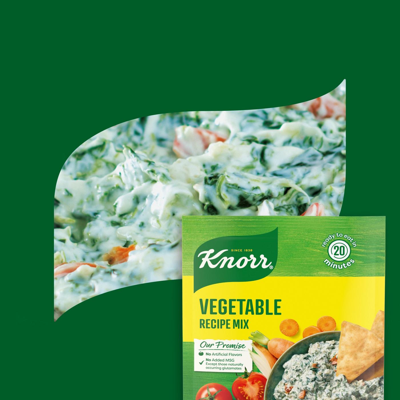 Knorr Vegetable Recipe Mix; image 6 of 7