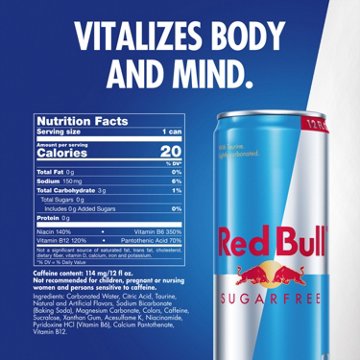 Red Bull Sugar Free Original Energy Drink
