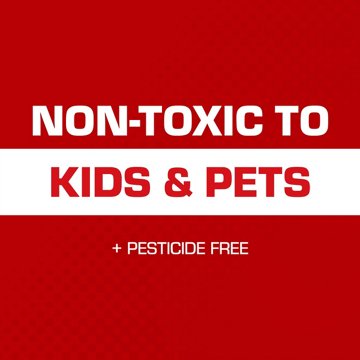 Tomcat Mouse Size Glue Traps, 4 ct