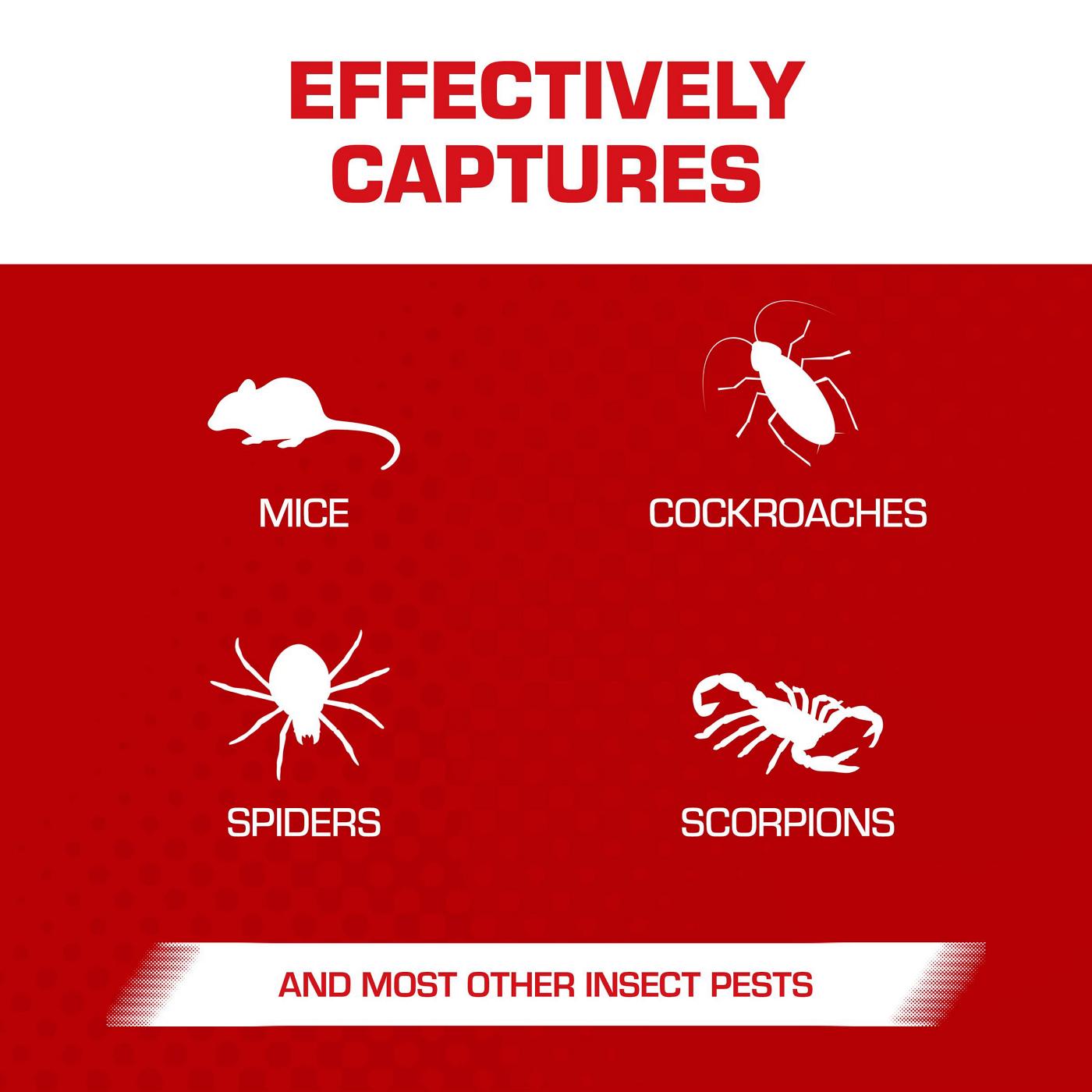 Tomcat Mouse Size Glue Traps; image 3 of 11