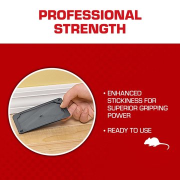 Tomcat Mouse Size Glue Traps, 4 ct