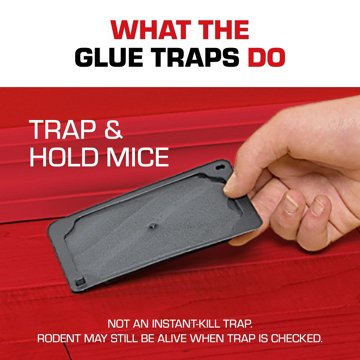 Tomcat Mouse Size Glue Traps, 4 ct