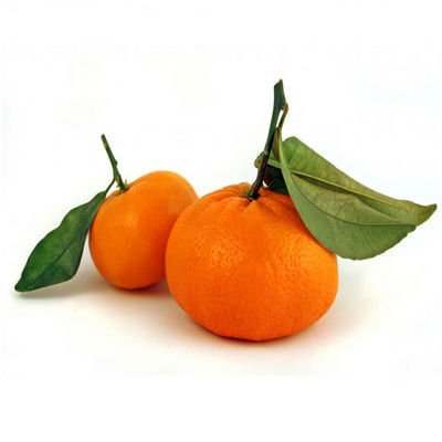 Fresh Mandarins | Low Prices & Quality Groceries - Joe V's