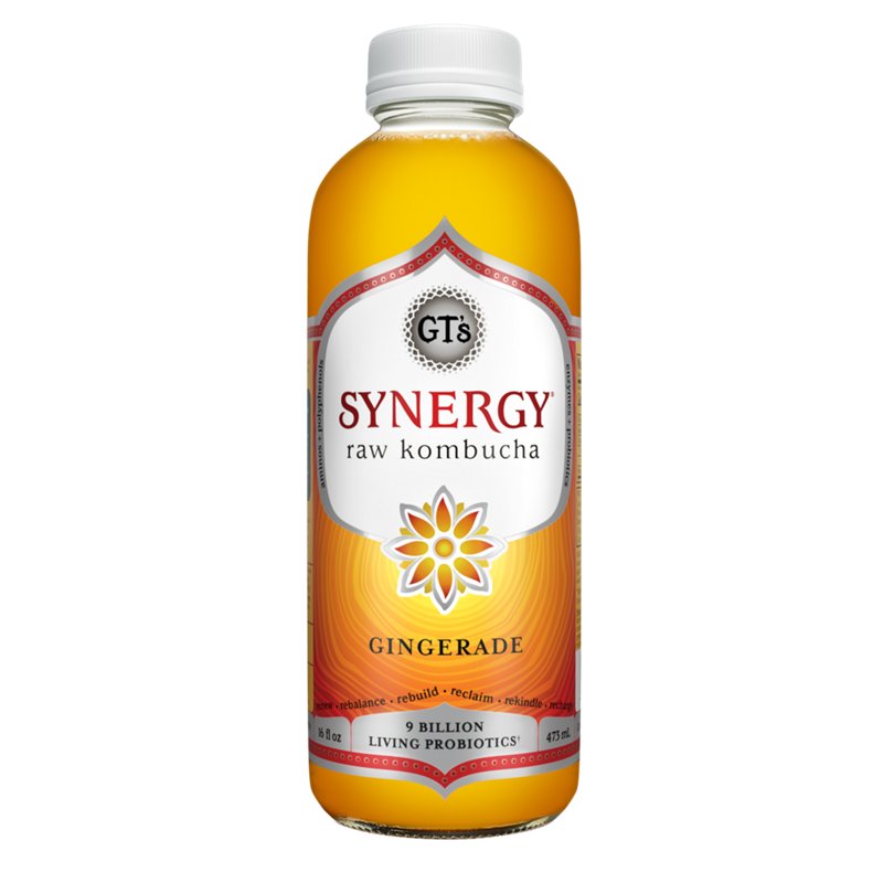 synergy kombucha gingerade