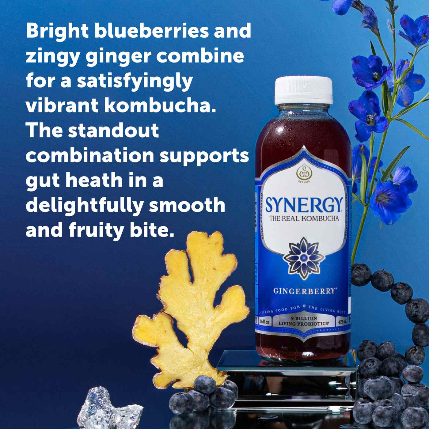 GT's Enlightened Synergy Gingerberry Organic Kombucha; image 4 of 5